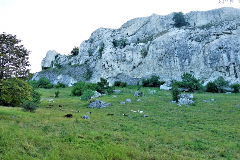 Pastva nad Soutěskou